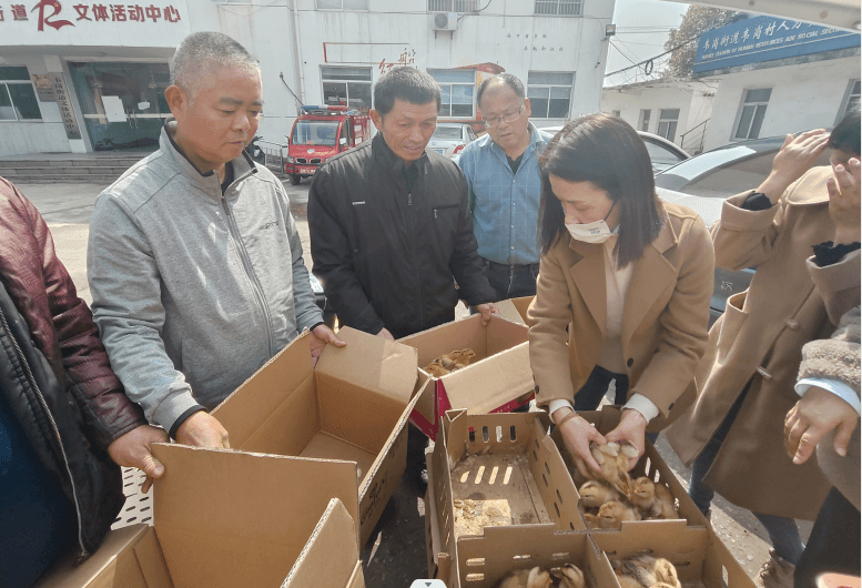 e47ce18a94c64ca88e5dc4547a92116